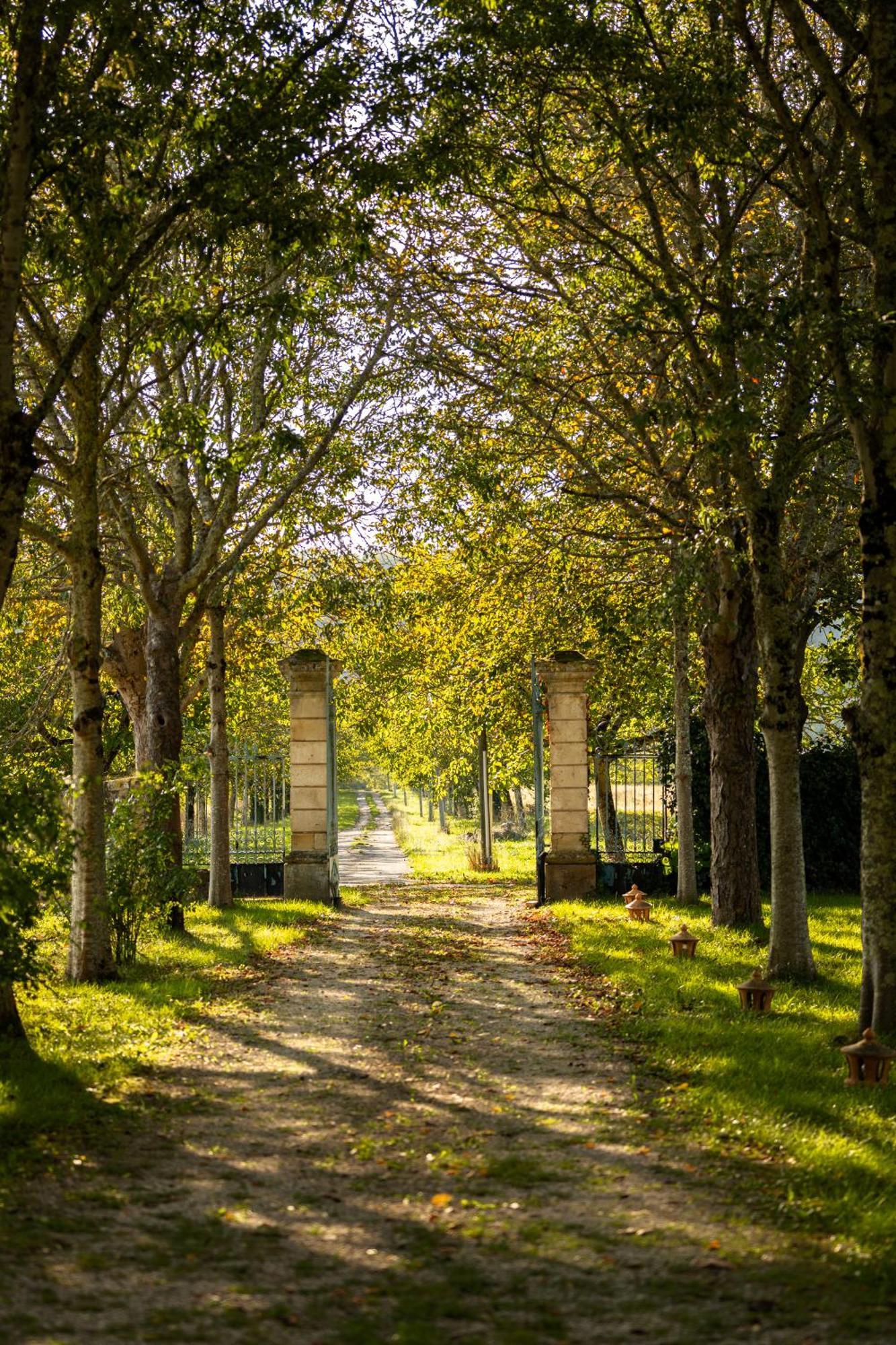 Chateau La Gineste - Castle And Vineyard Lodge