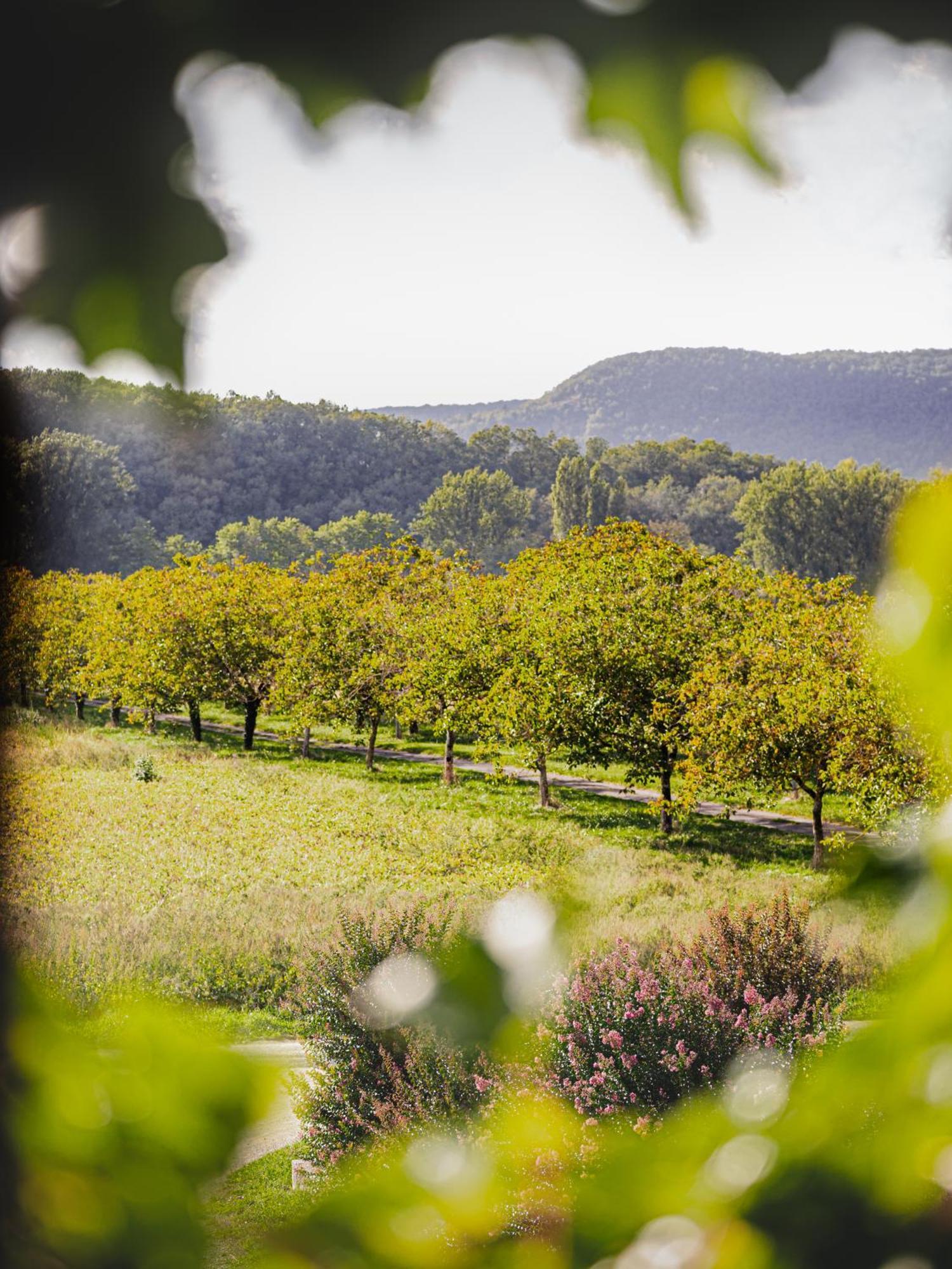 Chateau La Gineste - Castle And Vineyard Lodge *