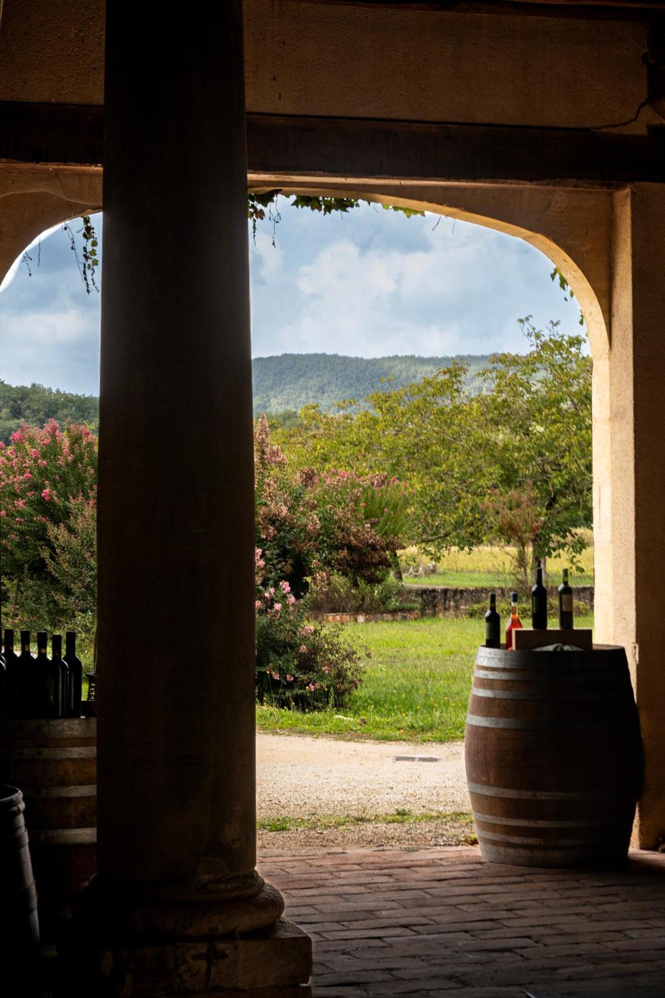 Lodge Chateau La Gineste - Castle And Vineyard Duravel